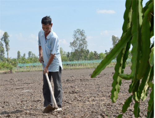 DƯ LƯỢNG KIM LOẠI NẶNG VÀ MỐI LIÊN QUAN ĐẤT, NƯỚC, CÂY TRỒNG.